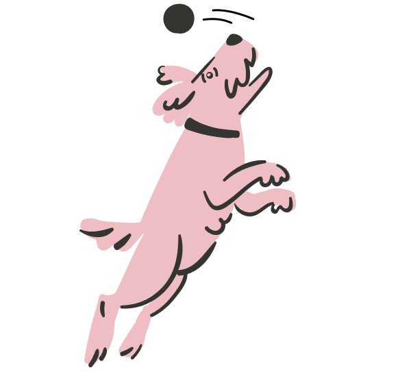 Fetch che manca il bersaglio